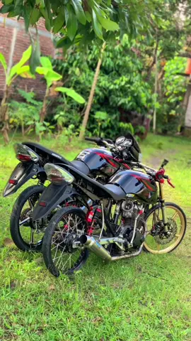 #tigerputaa #tiger #herex #tigerherex #tigergank🤙 #fypシ゚ 
