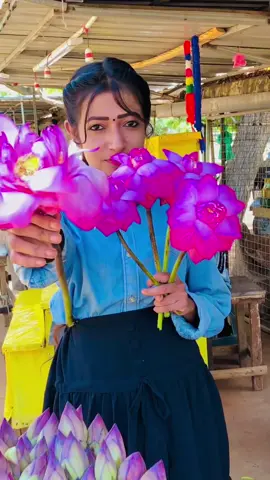 අපෙන් ගන්න මල්……..💐🌸 #කිරිවෙහෙරට_යනපාරේ🌻මල්_විකුනන_මම🌸🧚‍♀️ #flower_girl🌸sandu @CHAMI BOY ♥️ #flower_girl🌸sandu #11M♥️ #කතරගම_ආහස_යට #fypシ゚viral🖤tiktok☆♡🦋myvide 