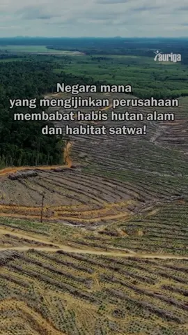 Kalian tipu masyarakat  Kalian rampas tanah adat Hutan kalian babat Ganti dengan sawit #tanjungselor #beraukaltim #samarindakaltim #kalimantan 