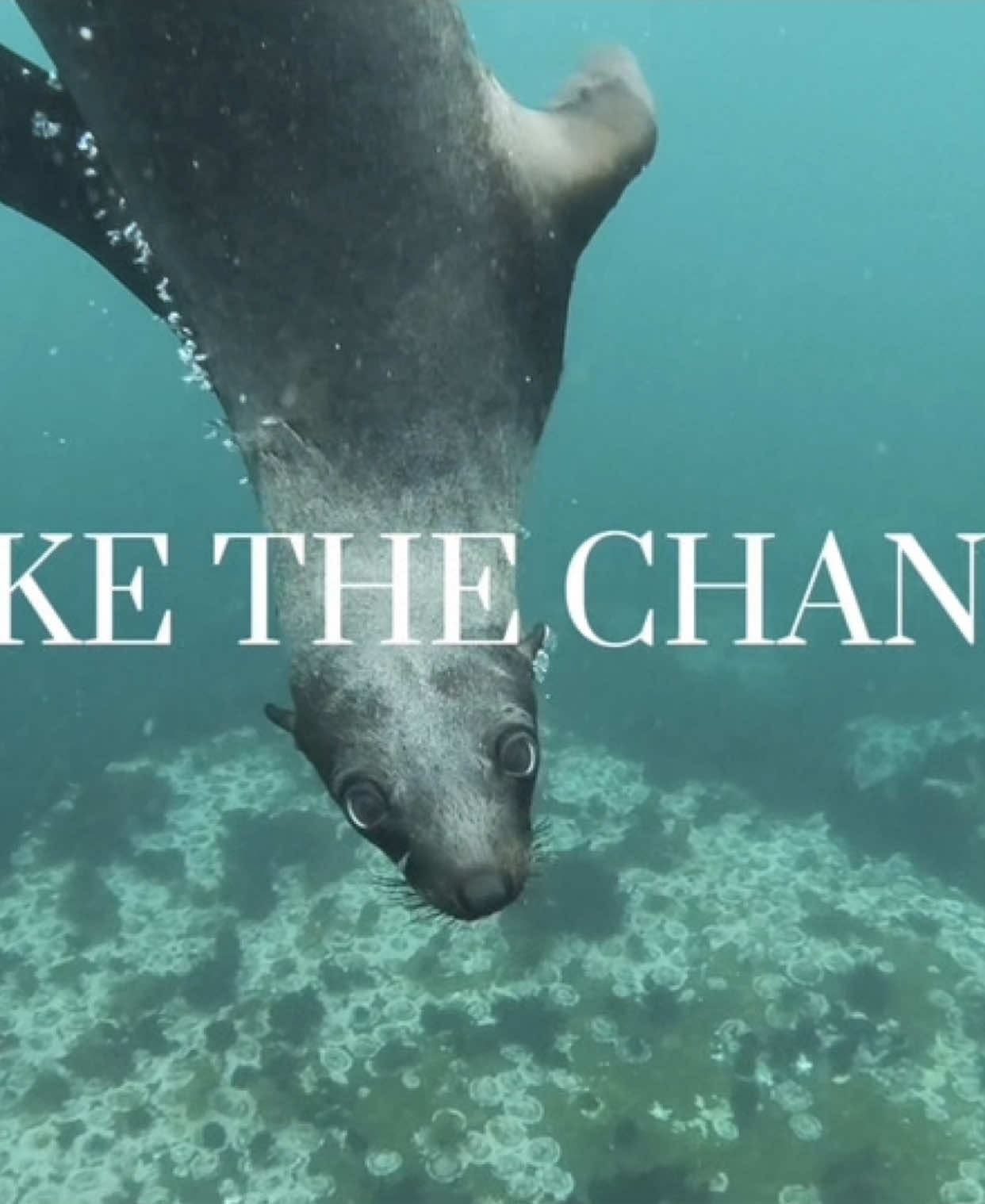 another contributor to climate change: plastic pollution | make the change ! #fyp #as #climatechange #climate #climateaction #environment #plasticpollution #Sustainability #nature #saveourplanet #edit #xyzcba 