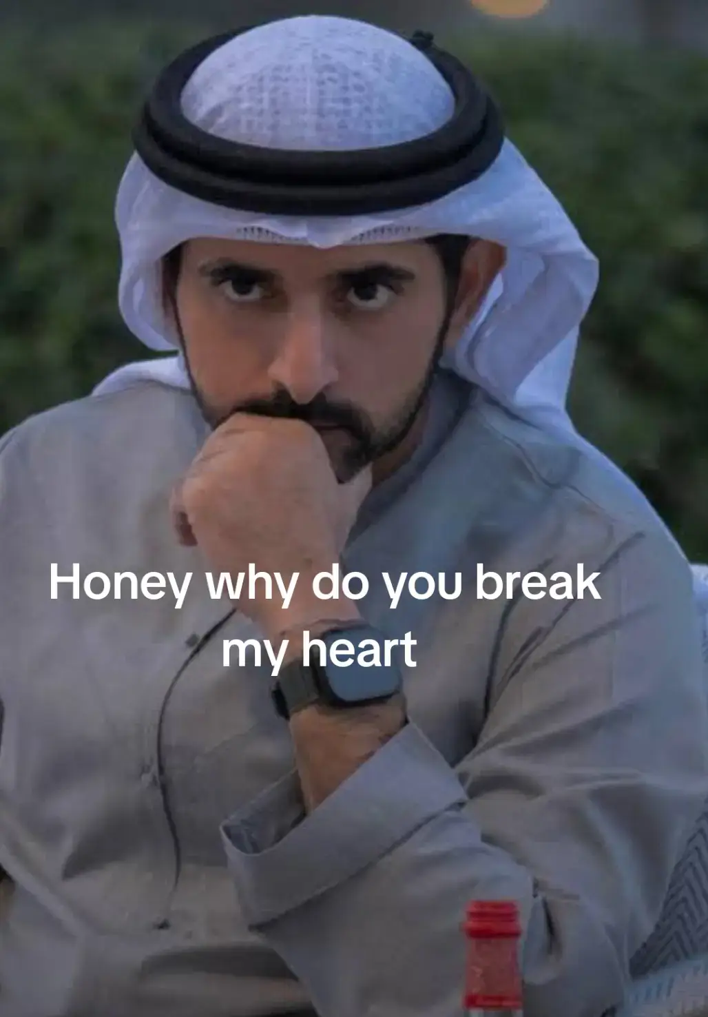 #dubai #vira #arab #emirates #us #hamdanmohammefazza1 