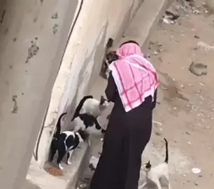 اللهم ارحم عبدك نْهيد بشوش المبسم ، طيب القلب ، اللهم ارحم من أغمرنا بحبه و لطفه اللهم كما كان حنون معنا ف حن عليه وكما كان لطيف معنا ف الطف به وكما كان مدللنا ف دللـه في جناتك ياحبيبي و ارحمه رحمة واسعه واكرمه بجنات الفردوس الاعلى و اجعل الملائكه محاطه به. . #اكسبلورexplore #explore #fyp #you #fypシ゚viral #اكسبلووووورررر #دعواتكم #ابوي #اكسبلور_تيك_توك 