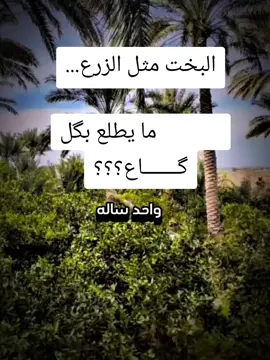 #CapCut #