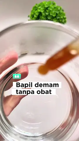 Membalas @Mamanyaa boleh kak diketerangan bisa dari 1 th ke atas, bumil busui juga aman 🫶🏻 #efipropolis #propolisbebaswax #propolisefi #propoliskids #satukontentiaphari 
