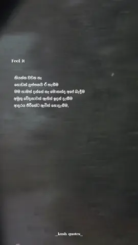 කියන්න වචන නෑ ගොඩක් ලස්සනයි ඒ හැගීම🗣️🫀 #fyp #foryou #sinhalaquotes #kushquotes #smokiyo_rap #100k 