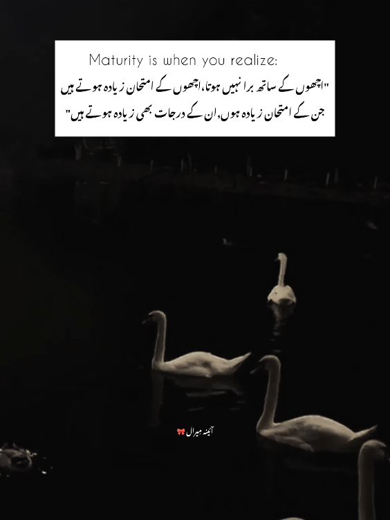 جن کے امتحان زیادہ ہوں ۔ ان کے درجات بھی زیادہ ہوتے ہیں ۔۔❤️‍🩹۔   #poetry🥀 #aina_e_miraal #1million #unfreezemyacount #burhan_tv_tiktok #deep #asthetic #dontunderreviewmyvideo #islamic_video 