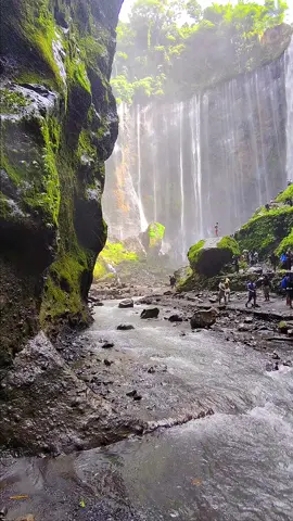 Sekeping surga di bumi #airterjuntumpaksewu #tumpaksewulumajang #explorepronojiwo #fyp #pakejsurabaya 