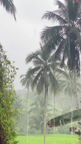 Rainy days and Thursdays ✨ #nature #rainydays #province 