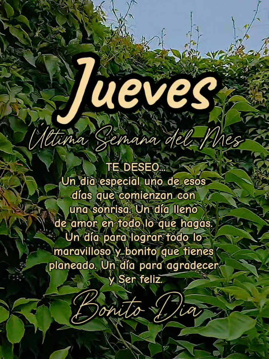 #motivacion #frases #reflexion #crecimientopersonal #desarrollopersonal #reflexiones #pensamientos #amorpropio #Jueves 