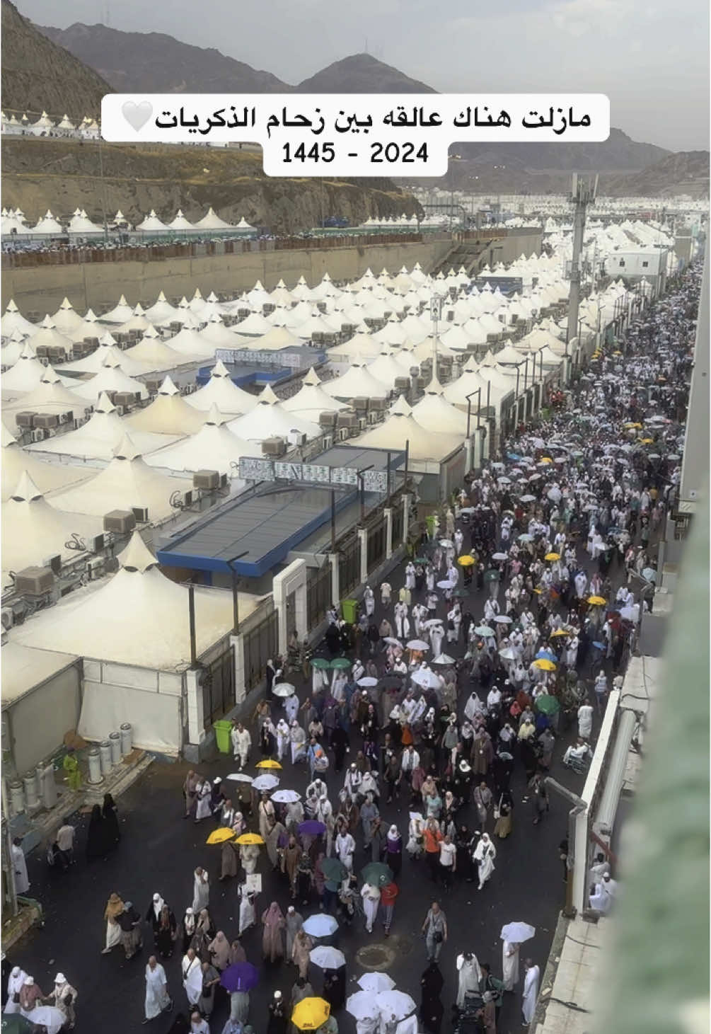 ارشيف حج 1445 - 2024 🥹❤️💔.   #الحج #مكة_المكرمة_السعودية #مِنى #المشاعر_المقدسة 