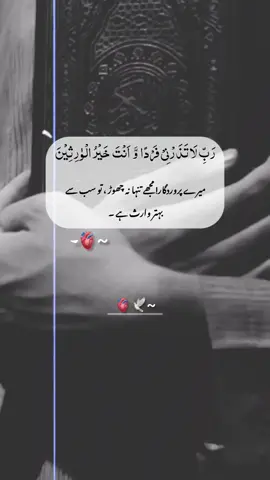 #capcut Ameen 📿🍂#fyp #foryou #unfrezzmyaccount #fyppppppppppppppppppppppp #islamic_video #foryoupage #fypシ゚ #fypage 