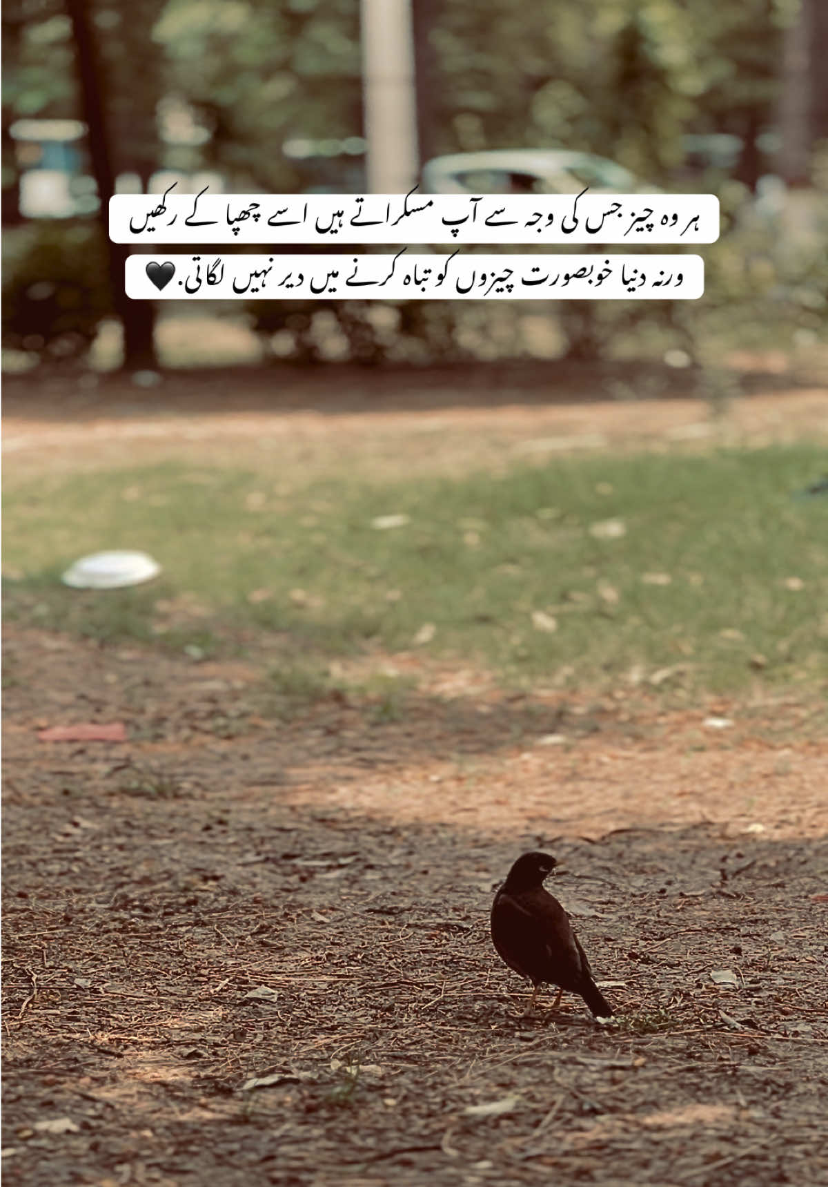 ہر وہ چیز جس کی وجہ سے آپ مسکراتے ہیں اسے چھپا کے رکھیں  ورنہ دنیا خوبصورت چیزوں کو تباہ کرنے میں دیر نہیں لگاتی.🖤 #foryou #repost 
