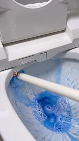 It’s time to upgrade your toilet brush 👀#clean #cleaning #LifeHack #toiletbrush #toiletcleaner 