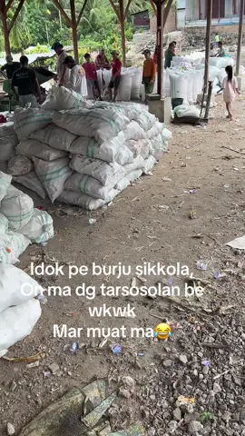 Semangat mumpung harga lumayan #petaniindonesia🇮🇩🇮🇩🇮🇩🌿🌿 #jagung #halakbatak 