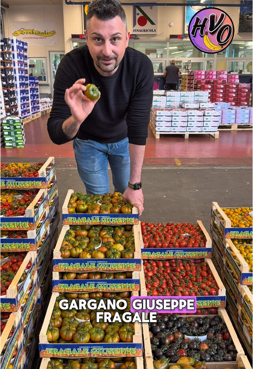 📍Ischitella, Gargano. Qui il sole cuoce la terra e il mare soffia sale. E da questa magia nascono i pomodori di Giuseppe Fragale: rossi, pieni, intensi… con un sapore naturalmente salato che non dimentichi. Zero chimica. Solo natura, passione e tradizione. 👉 Se non li hai mai assaggiati, non hai mai conosciuto davvero il gusto del Sud. 🍅 #IlSalatoDelGargano #Hovogliadiortofrutta #PomodoriSpeciali #Gargano #ProdottiTipici #AgricolturaItaliana #PomodoroItaliano #KmZero #EccellenzeDelSud #GiuseppeFragale #Ischitella #MadeInItaly #CiboVero #ortofruttadiqualità 