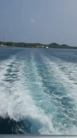 Ghannili Syuwayya Nyanyikanlah aku dengan lembut-halus #ArabTikTok #arabicsong #arabsongs #relaksasi @amr diab @almaesbeye 