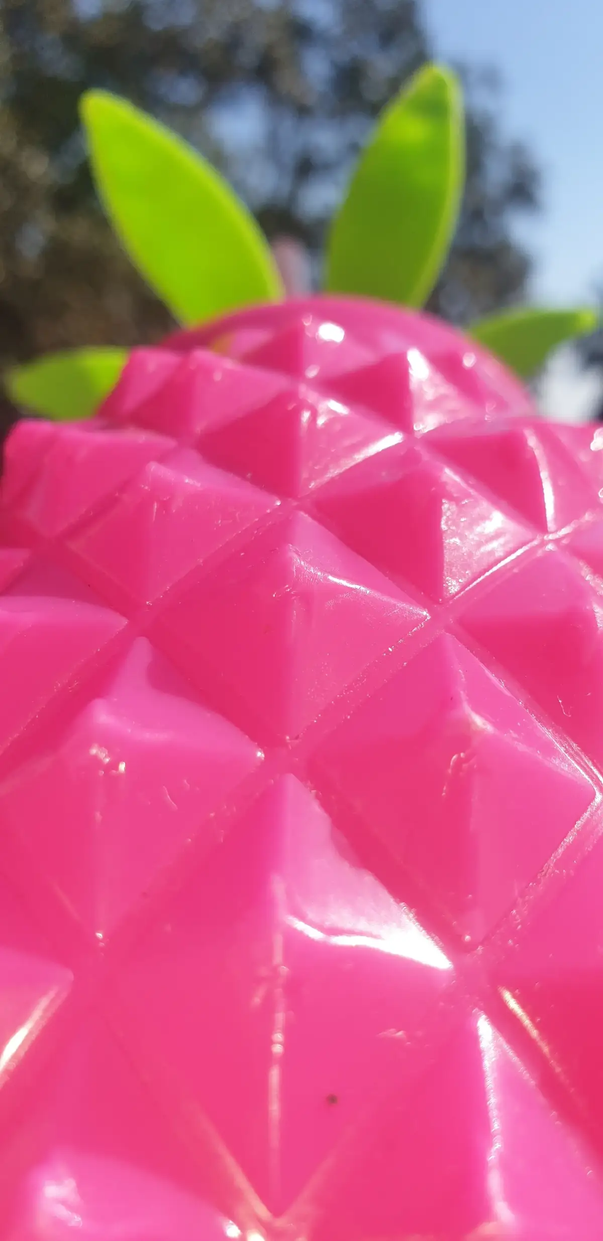 https://waterandjuicebottles.myshopify.com Pineapple Glass Bottles: A Touch of Tropical Elegance Pineapple glass bottles are a charming blend of function and aesthetic, often used for beverages, decor, or gifting. Shaped or textured like the tropical fruit, these bottles capture the pineapple’s symbolic meaning of hospitality, warmth, and exotic appeal. They’re commonly found in both vintage and modern designs—some with intricate diamond-patterned glass that mimics the fruit’s skin, others with bold gold caps or vivid colors for a more playful, contemporary look. Popular for housing juices, infused water, or even decorative lights, these bottles make standout centerpieces or stylish storage containers #v #viralvideos #loveyou #Summer #happybirthday #childhood 