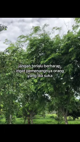 #galaubrutal 