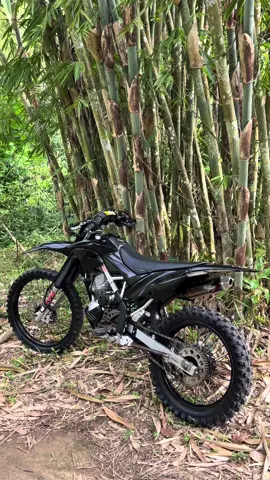 Nyender tu di pohon bukan di bahu🤭#fyp #klx150 #trabas 