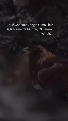 #kesfet #kesfetteyiz 