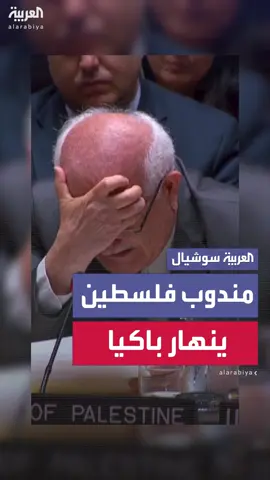 مندوب فلسطين في مجلس الأمن.. يضرب بقبضته على الطاولة وينهار باكيا: 
