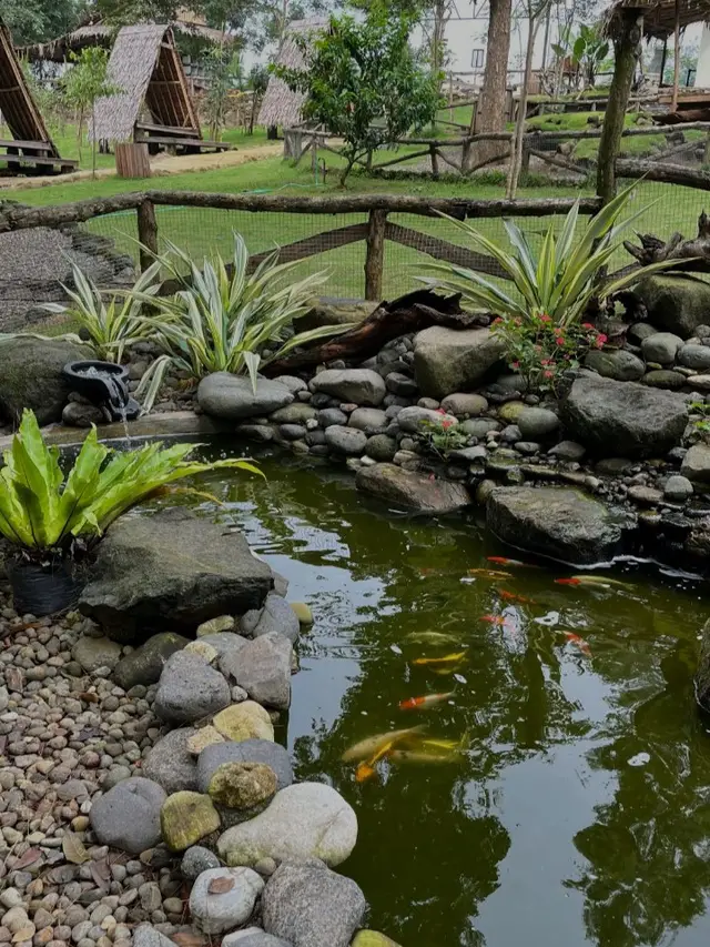 Finding peace in the wild 🍃 #pinusiapark #ungaran #fyp 