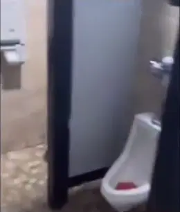 #fyp 