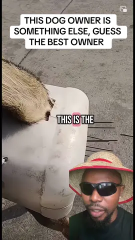THIS DOG OWNER IS SOMETHING ELSE, GUESS THE BEST OWNER 