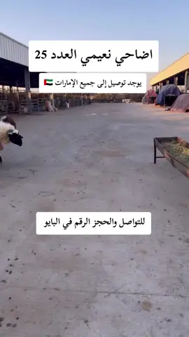 #اضاحي_العيد #اضاحي #عجمان_دبي_ابوظبي_راس_الخيمة #دبي🇦🇪 #الامارات_العربية_المتحده🇦🇪 