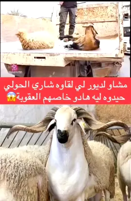 #تكتوك_المشاهير #الراحة_النفسيه___ارح_سمعك #morocco🇲🇦 