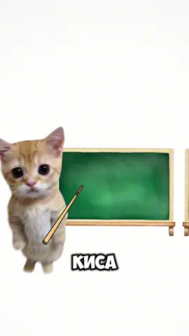 Киса объясняет, как копить деньги 😻