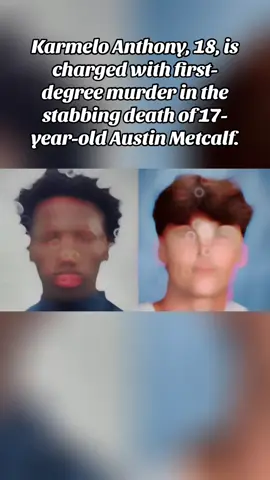 Justice for Austin Metcalf. #fyp #fypシ゚viral #trending #justiceforaustinmetcalf 