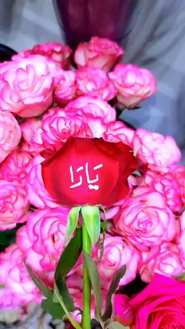 #يارا#اكسبلور #مصر_السعودية #الحبايب #حروف_الحب 