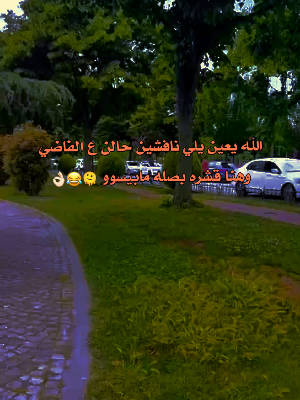 قصف صبااحي 😂😂😂👌🏻 #ريان #تصويري📸 #تركيا🇹🇷اسطنبول  . . #عملولي_أعادة_نشر🥺 #صباحياتي🌸🎼 #شعب_الصيني_ماله_حل😂😂 #مليون_مشاهدة❤ #يسعدكم_ربي_أحلا_متابعين♥️♥️♥️ #حطولي_قلب_احمر❤ 
