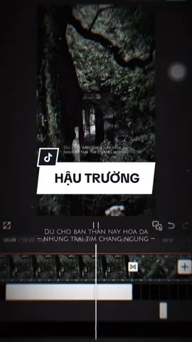 Hậu Trường : Hồng Nhan Remix #CapCut #edit #mẫucapcut #xh #nhachaymoingay #lyrics #capcutmaster 