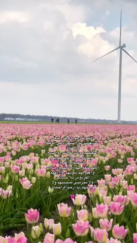 -اللهم في يوم عرفه، حقق دعواتهما وقرّب لهم الخير .#يارب❤️ #يوم_عرفة #كبروا_ليبلغ_تكبيركم_عنان_السماء 