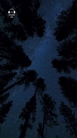 #natureasmr #nightskyphotography #soundon
