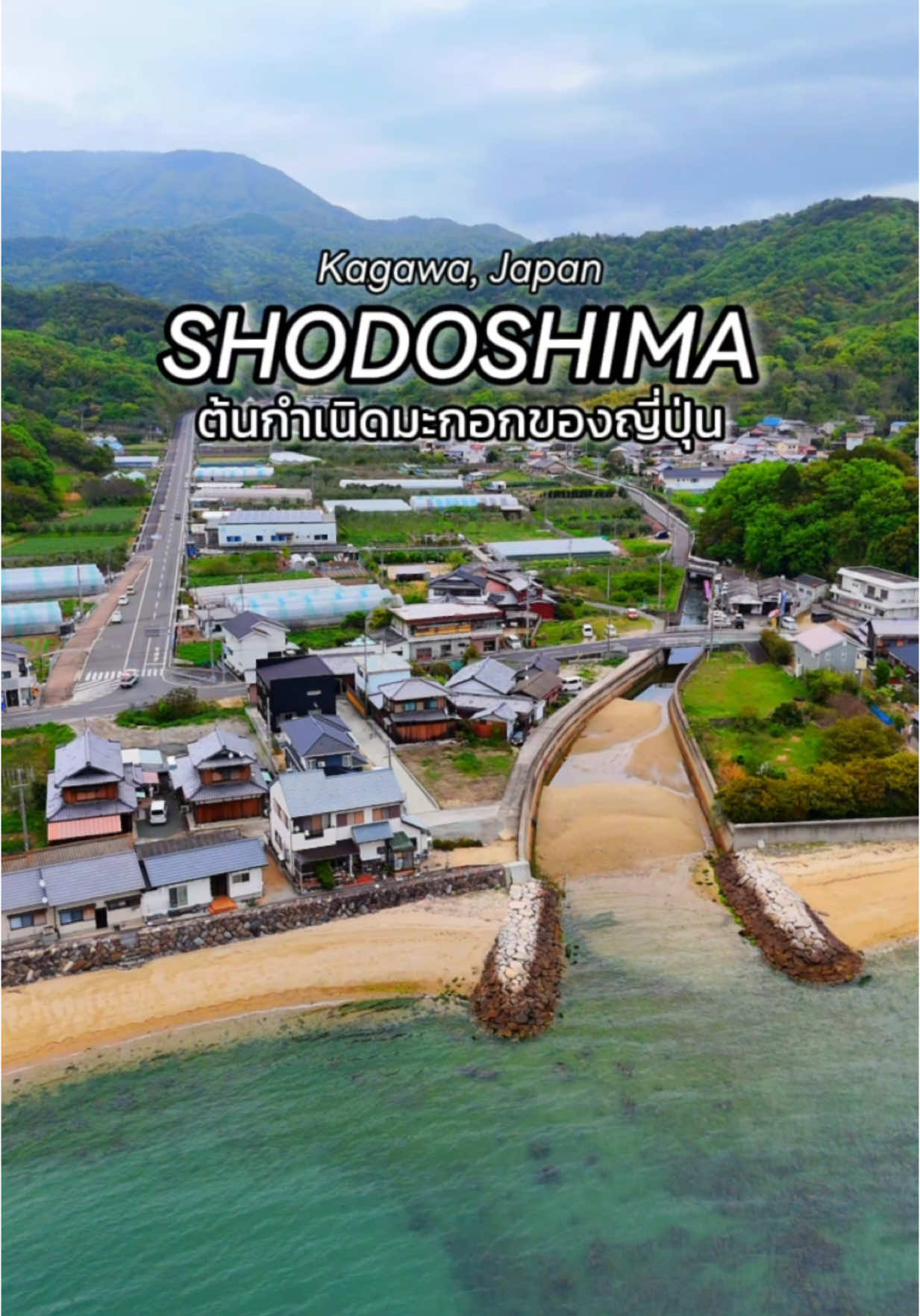 เที่ยวเกาะ Shodoshima แหล่งปลูกมะกอกที่แรกในญี่ปุ่น เป็นเกาะที่น่ารักมากๆเลย🏝️💚🫒🕊️ #PR #TikTok #connectbytourism #裏瀬戸芸 #瀬戸内 #setouchi #HiddenSetouchi #tiktokพาเที่ยว #tiktokพากิน #รู้จากtiktok #เที่ยวญี่ปุ่น #ญี่ปุ่น #เที่ยวต่างประเทศ 