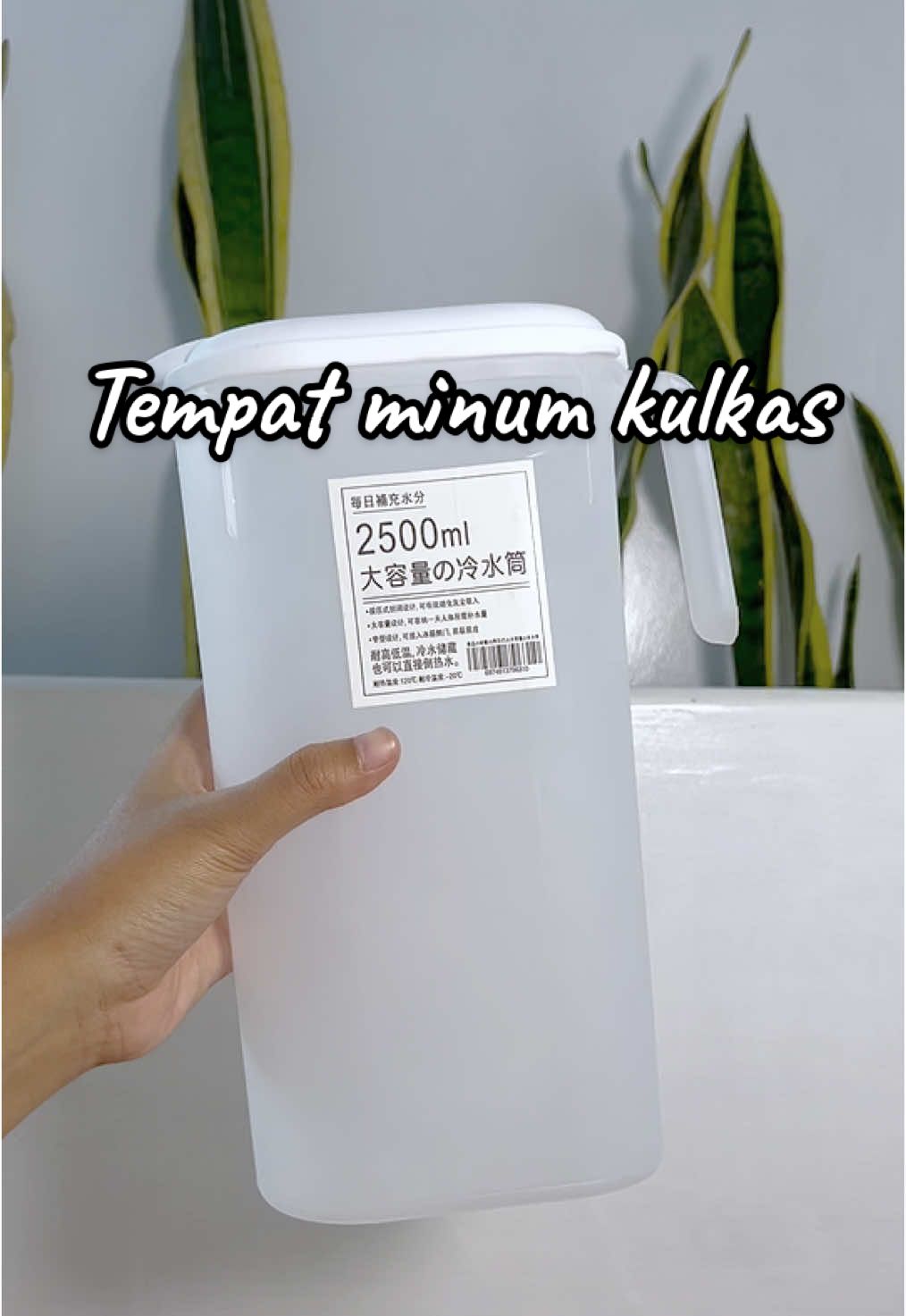 Water jug / Tempat minum ramping pas untuk disimpan di kulkas  #tempatminum #botolminum #tempatminumkulkas #botolminumkulkas #waterjug  #teko #tekokulkas 