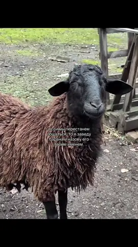 🥰