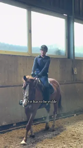 Etilde♥️ // zo leuk was dit! #vos #etilde #mvhetilde #equestrian #shadowbanned #QHP #larengld #paard #competition #mvh  @lotte.nijhof @Hilde Nijhof 