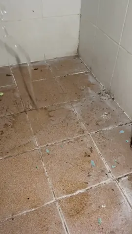 คราบมากกว่า3ปี...🚽💦🧽#รินคลีน #สูตรอ่อนโยน #น้ํายาทําความสะอาด #ทําความสะอาด #น้ํายาขจัดคราบ #รินคลีนน้ํายาทําความสะอาดสารพัดประโยชน์