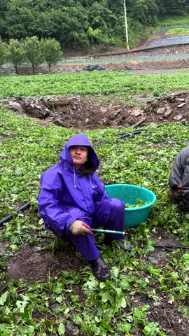 #🤣🤣#korealife #nepalitiktok #सबै 