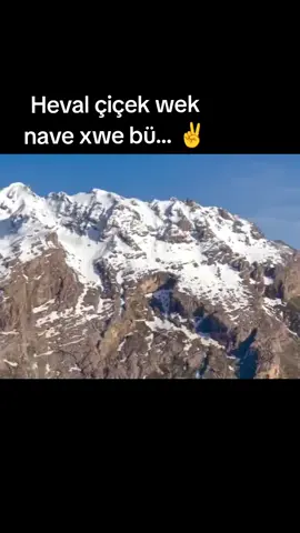 HEVAL ÇİÇEK 💚❤💛wek nave xwe bü.. ✌✌✌#heval #çiçek #rustem #cudi #seydaperinçek #