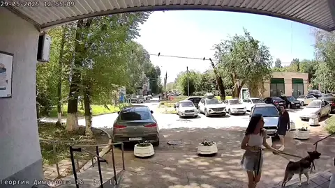 ЧИСТО РЕПЧИК ЗАЧИТАЛА 