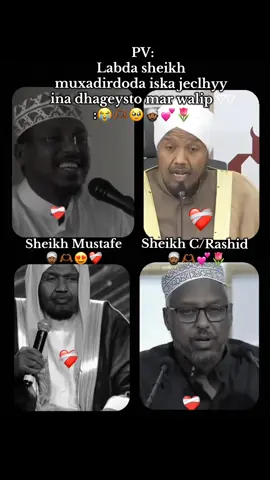 Cimarigiin Alle habrakeyo🤲🏾😭#sheikhmustafe #sheikhcabdirashiid_sh_ali❤ #lovesarrr😍 #wacdi❣_waano😌 