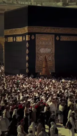 اللهم في أول جمعة من ذي الحجة يارب  #دعاء #ليلة #الجمعة #ذي_الحجة #يوم #عرفة #يارب #اللهم_امين_يارب_العالمين #دعاء_جميل #جمعة_مباركة #اللهم_امين #يارب❤️ 