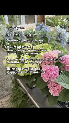 အလိမ်အညာတွေ မပါလို့ ကျွန်မချစ်ခြင်းတွေကစစ်ပါတယ်ရှင်ရယ်💗 #fyppp #fyppppppppppppppppppppppp #flypシ #fyppppppppppppppppppppppp 