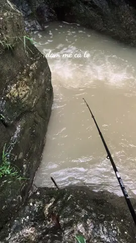 #xuhuongtiktok 