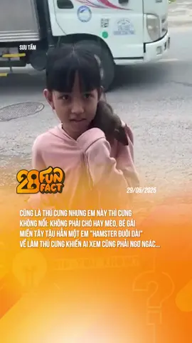LẠI LÀ HAMSTER ĐUÔI DÀI ĐÂY... #theanh28news #theanh28funfact #tiktoknews #theanh28